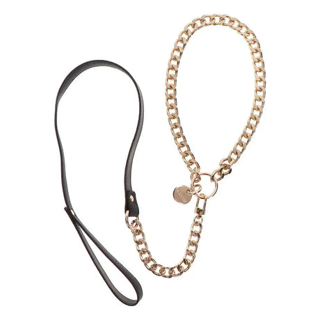 Taboom Dona Statement Collar and Leash - Save 30% - and - Fast Shipping - Sale United Kingdom Stoke-on-trent