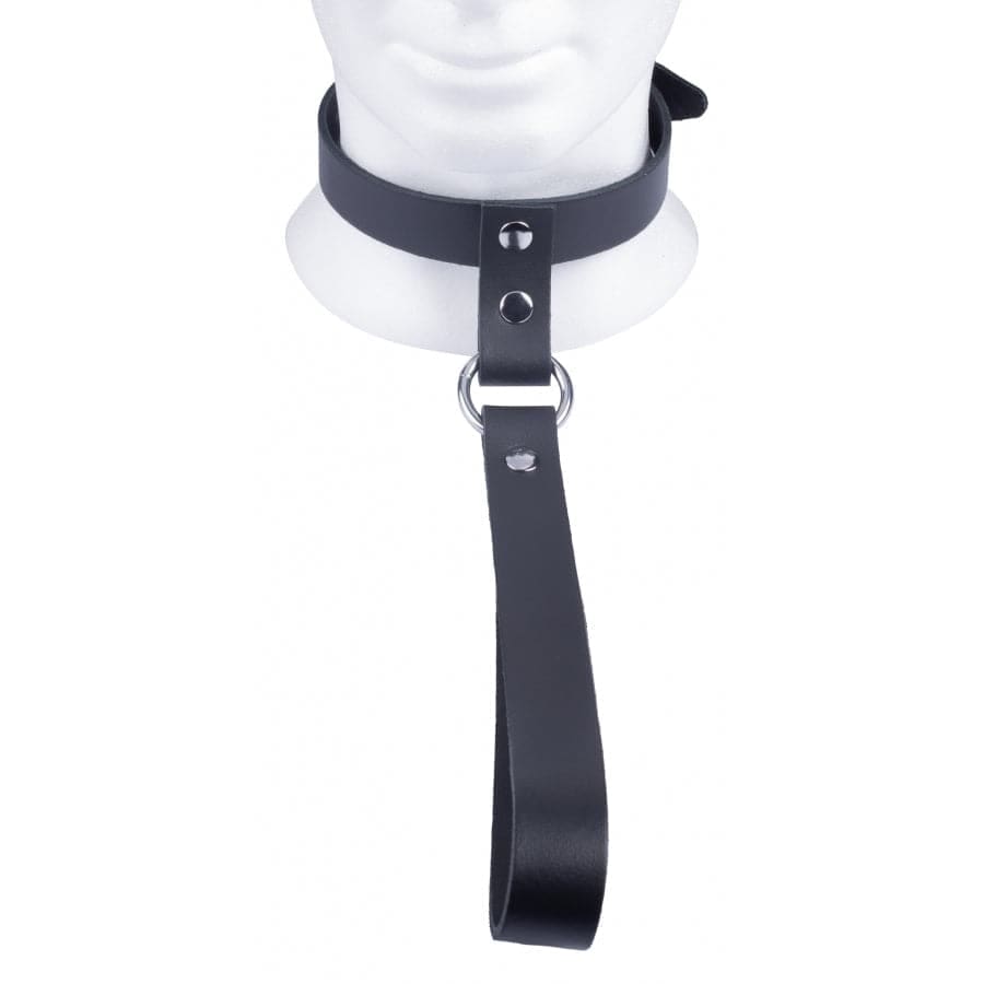 The Red Leather Collar with Short Leash - Save 30% - Sale