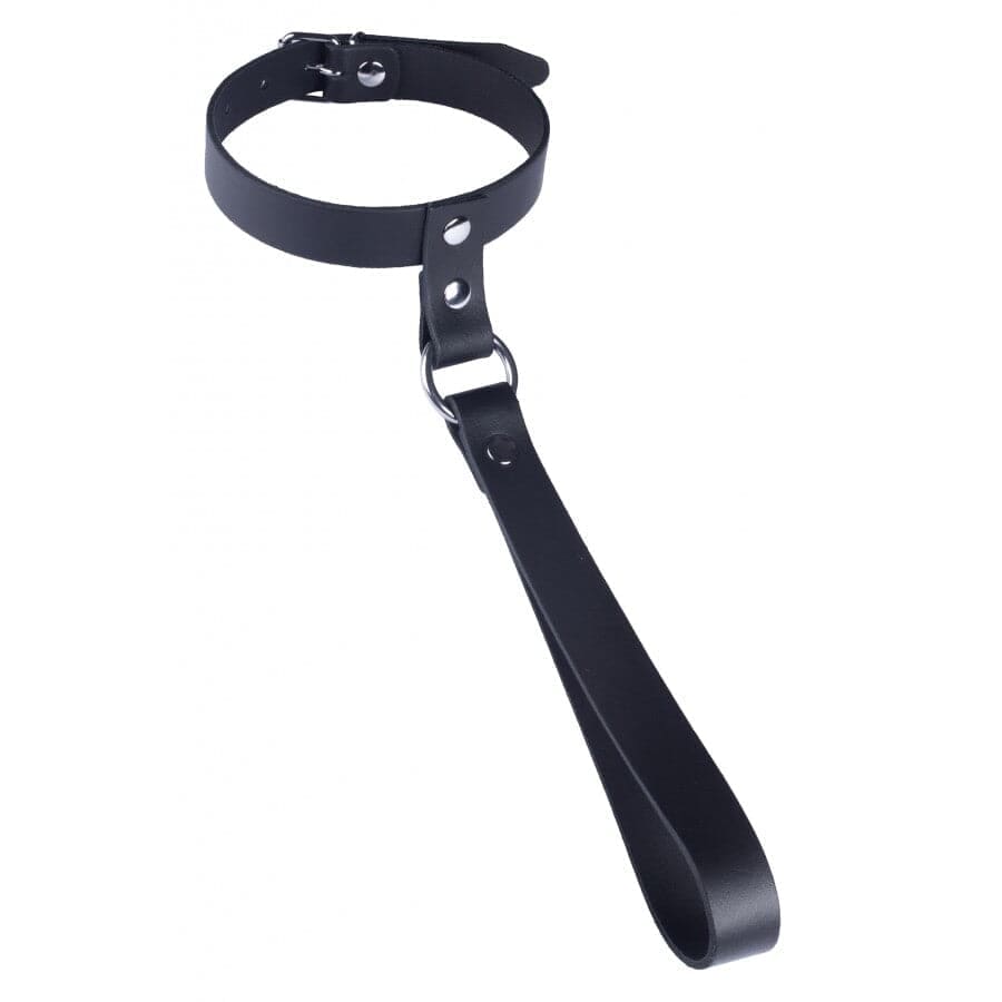 The Red Leather Collar with Short Leash - Save 30% - Sale