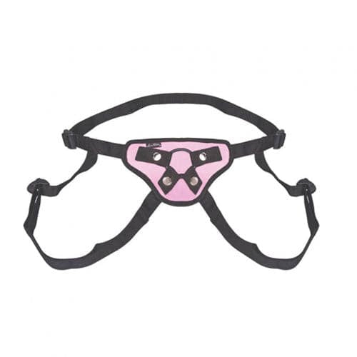 勒克斯恋物癖漂亮的粉红色皮带上的安全带