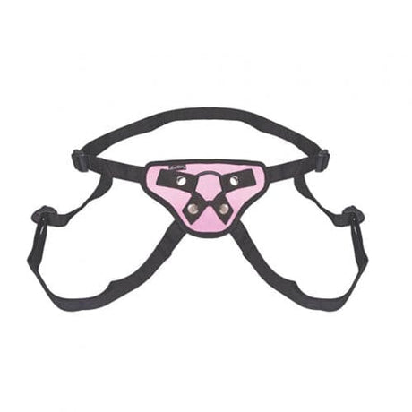 勒克斯恋物癖漂亮的粉红色皮带上的安全带