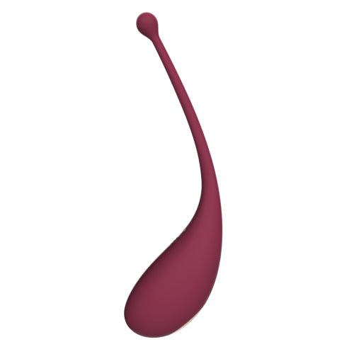 Adrien lastic Inspiration Klitorisaugsstimulator und vibrierendes Ei