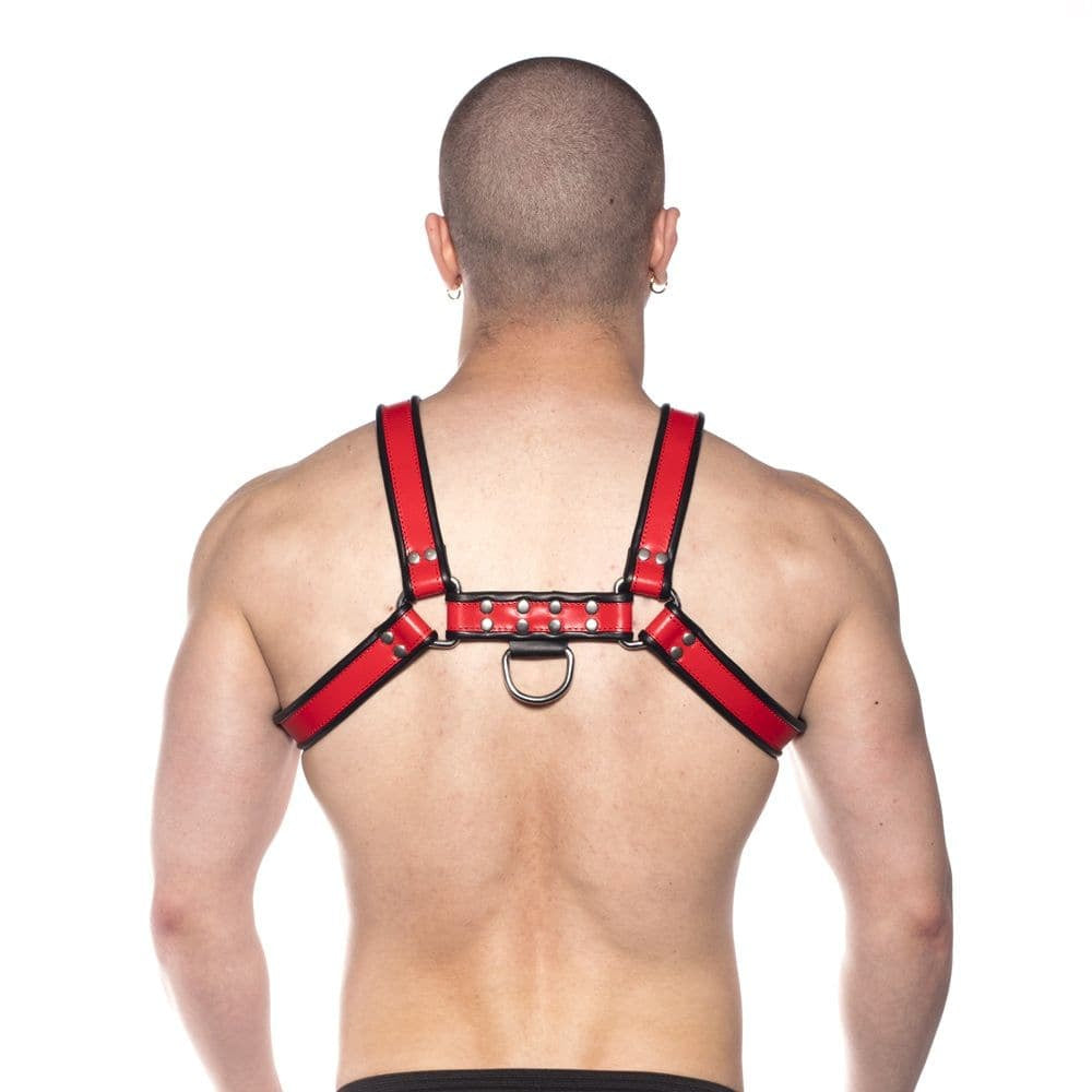 Prowler Red Bull Harness Black/Red Small