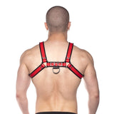 Prowler Red Bull Harness Black/Red XL